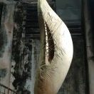 "Breathe", pine, 2013, 166cm