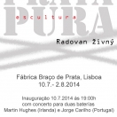 vizuál
